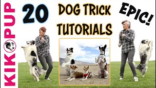 DOG TRICKS  20 Trick Tutorials [upl. by Annasoh]