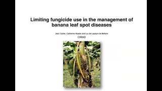 Limiting Fungicide Use in The Management of Banana Leaf Spot Diseases FS3 12 January 2023 [upl. by Laurens869]