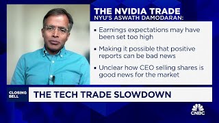 Mag 7 companies have shown weak spots in past few months says NYUs Aswath Damodaran [upl. by Rudd]