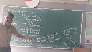 Microbes in sewage treatment XII CBSE Biology Naik Biology [upl. by Ardnuahs]