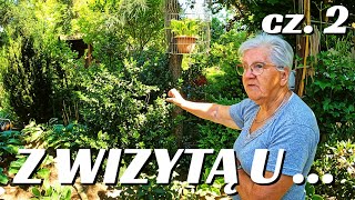 24 Z WIZYTĄ U  kwiaty wieś ogród natur rosliny [upl. by Leonard]