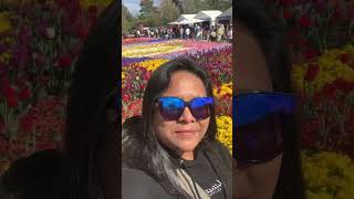 Canberra Floriade subscribe shortvideo howlongdoesittaketolearnmandarin [upl. by Herates]