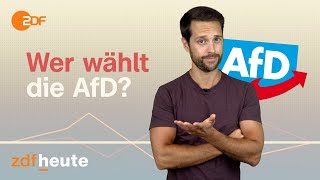 AfD – wer wählt sie  Politbarometer2go [upl. by Narra]