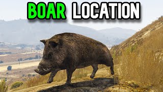 Gta Online Boar Location  Where to find boars in Gta 5 [upl. by Noli]