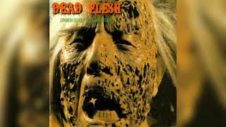 va  1993  dead flesh split fonomusic brutal death [upl. by Beitris515]