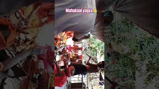 Mahakaal yagya  yagya mahakal shorts trending new 2024 rudra mahadev bholenath shiva 1M [upl. by Ulrica]