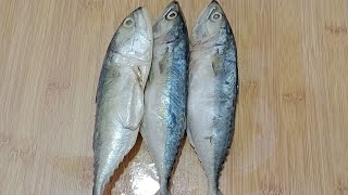 How I Clean My Indian Mackerel Before Use [upl. by Blake]