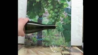 Chenin Blanc – 2022 William Chris Vineyards Hye Texas [upl. by Nosaj]