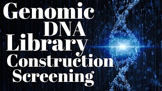 Genomic DNA library  Genomic library construction and screening [upl. by Nylednarb389]