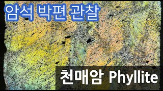 암석 천매암 박편 관찰하기 Phyllite thin section [upl. by Suirada]