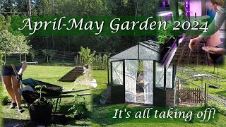 AprilMay Garden Time flies Its time for transplantingplanting tomatoes corn cabbage and more [upl. by Medeah]