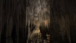 Carlsbad Caverns nationalparks carlsbadcaverns shortsnature [upl. by Ymmor]