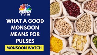 IMD Predicts Above Normal Monsoon Will It Ease Pulse Prices In India  CNBC TV18 [upl. by Apicella435]