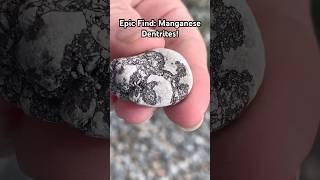 Epic Find Manganese Dendrites rockhounding lakeerie [upl. by Leeda466]