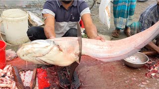 10 kg Giant Wallago Attu Boal Fish Cutting With Huge Eggs  Fish Cutting Skills [upl. by Noemad]