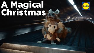 Lidl GB  A Magical Christmas  Tells heartwarming raccoon tale [upl. by Lodhia]