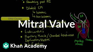 Mitral valve regurgitation and mitral valve prolapse  NCLEXRN  Khan Academy [upl. by Bergstein]