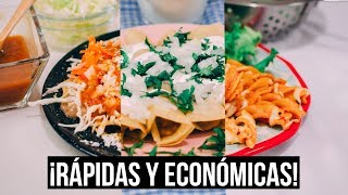 3 Recetas ¡SÚPER RÁPIDAS Y ECONOMICAS 🍽💵  Recién Cocinados [upl. by Noral669]