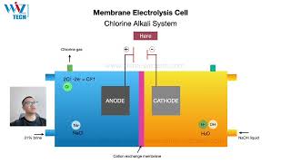 Principal of Membrane electrolysis system Electrochlorination Chlorine Alkali System [upl. by Krueger]