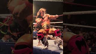 Photos of THE ULTIMATE WARRIOR wwe prowrestling [upl. by Sweet270]