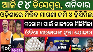 14 December 2024  ଗରିବଙ୍କୁ ଜାଗା ଦେବେ ରାଜ୍ୟ ସରକାର  Today breaking news Odisha  Smile Odisha news [upl. by Kyrstin]