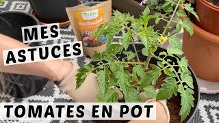 🍅 PLANTER LES TOMATES CERISES EN POT  MES ASTUCES POUR UNE PLANTATION RÉUSSIE  TUTO JARDINAGE [upl. by Trelu]