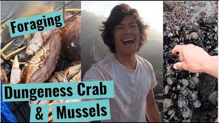 Coastal Foraging for Dungeness Crab and Mussels in San Francisco [upl. by Deutsch]