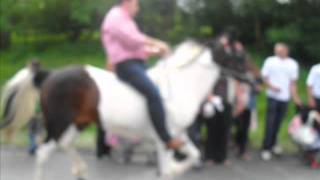 ApPlEbY horse fair 2011 [upl. by Locklin]