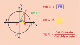 Explicación Circunferencia Trigonométrica [upl. by Ssej713]