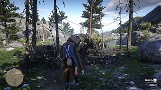 RDR2  Heres What Happens If You Bring The Corpse Of A Soldier To The Chief Of The Wapiti Indians [upl. by Arlinda]