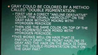 COSMETOLOGY CLASS HAIRCOLORING 4 GRAY COVERAGE [upl. by Aicenra530]