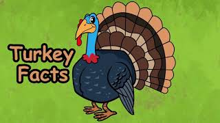 Thanksgiving Songs for Children Ten Little Turkeys Turkey Kids Songs by The Learning Stati [upl. by Padriac]