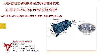 TUNICATE SWARM ALGORITHM FOR ELECTRICAL AND POWER SYSTEM APPLICATIONS USING MATLABPYTHON [upl. by Onaicnop]