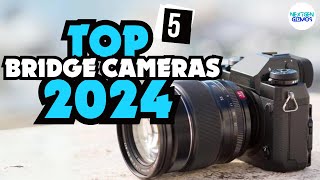 ✅Top 5 Bridge Cameras 2024 ✅ Watch This Before You Buy [upl. by Lanae798]