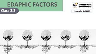 3 IFoS2020  Silviculture  Edaphic factors [upl. by Cutter]