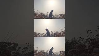 Galliyan lofi song status lovesong shorts nature viralvideo feedshorts [upl. by Suzi545]