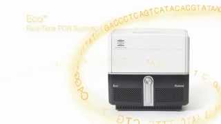 Illuminas Eco RealTime PCR System [upl. by Cyndia]