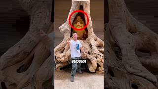 Amazing Buddha Statue Made out of Wood 😍 [upl. by Crespo]