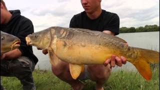 48h sur le Plan deau des Roulières by Team Evo Carp HD [upl. by Godard]