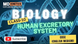 Excretory System in Humans  CBSE Class 10 Science Biology  Life Process Mukesh SirMD Kinetics [upl. by Eenel495]