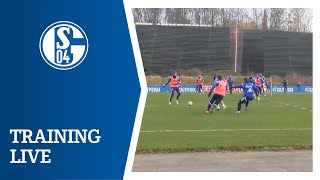 FC Schalke 04  Training Live 0212 [upl. by Stanwin]