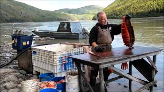 Dry Dog Food Cutting at Rampart Rapids  Stan Zuray [upl. by Goulette97]