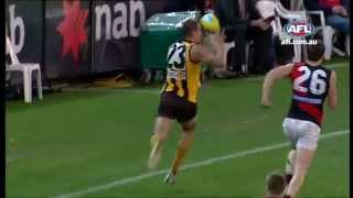 The Rivalry  Essendon v Hawthorn  AFL [upl. by Nner909]