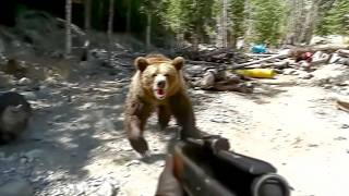 7 Shots Fired From A Hunting Rifle Didnt Stop This Grizzly From Attacking Campers [upl. by Redleh]