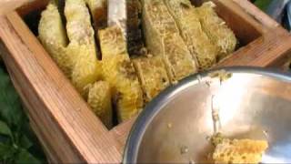 【cutting combs away】Taking honey of Japanese honeybees [upl. by Brandise951]