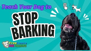 Stop Barking How to Teach the QUIET Command [upl. by Nigen764]