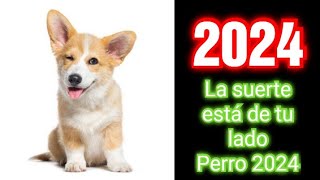 HOROSCOPO CHINO 2024  Predicciones para el signo del Perro para el año 2024  Intuición Comprobada [upl. by Veta129]