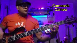 Cameosis  Cameo  Bass Cover [upl. by Krystalle198]