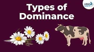 Genetics  Dominance and Its Types  Lesson 8  Dont Memorise [upl. by Sanez]