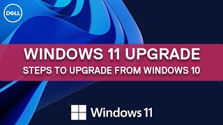 How to upgrade to Windows 11 from Windows 10  Dell Support [upl. by Ahsieyn]